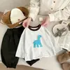 Pantalones de Algodón Puro para Niños de Principios de Primavera, Pantalones Harem Sueltos Casuales para Bebés y Niños Pequeños de Temporada Primavera y Otoño, Elegantes y Versátiles Pantalones Linterna para Bebés