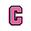 Accesorios para Zapatos Rosas con Letras y Números de Venta Caliente Transfronterizos, Bolsos Bogg, Hebillas Decorativas Desmontables para Zapatos DIY