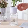 Maceta Matutina Auto-Riego para Personas Perezosas, Maceta Hidropónica Transparente de Plástico para Plantas Verdes, Estilo Minimalista Nórdico, para Chlorophytum y Otras Plantas Verdes, Maceta para el Hogar