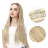 Mecha de Extensão de Cabelo em U Transfronteiriça para Mulheres, Extensão de Cabelo de Uma Peça com Fio de Pesca Grande, Mecha de Extensão de Cabelo Longo Liso Natural Invisível com Presilha