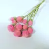 Decoración de flores secas de algodón vintage ins Arreglo floral de moda flor de nomeolvides algodón espiga de trigo diy accesorios para sesión de fotos en casa