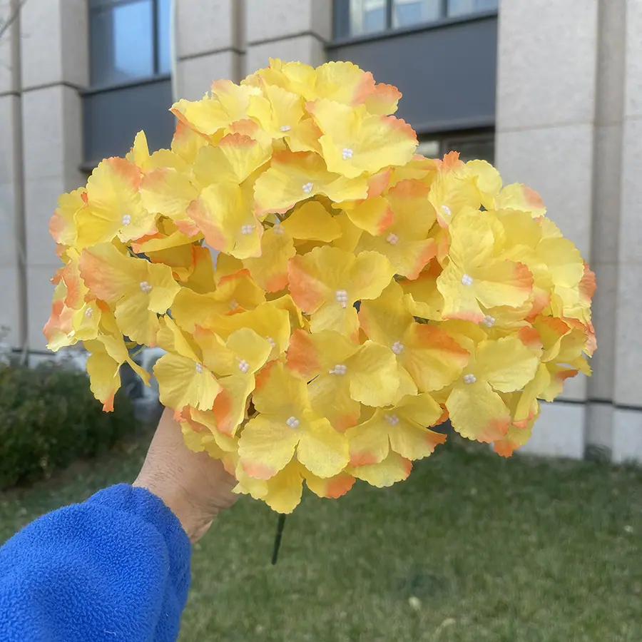 5头把束无纺布绣球-桔边黄.JPG