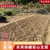 Suporte de arco para galpão de vegetais haste sólida de fibra de vidro suporte de isolamento para estufa de horta haste de plantio de mudas haste de arco para vegetais haste para trepadeira