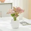 Taro Rosa Lady, Taro de Folhas Mistas, Planta Verde em Vaso, Amante Rosa, Flor de Mesa para Interior, Fácil de Cuidar, Bonita