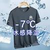 Camiseta de seda de hielo para hombre, de manga corta, deportiva, de verano, de secado rápido, transpirable, de media manga, holgada, 2025
