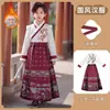 Saludo de Año Nuevo Hanfu Falda Ma Mian para Niños Disfraz de Rendimiento Unisex Estilo Chino Nuevo Estilo Nacional Antiguo Conjunto Terciopelo Plus Grueso
