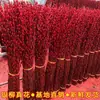 Salgueiro Prateado Flor Real Galho Fresco Flor Seca Ornamento Planta Verde Hidropônica de Interior Ano Novo Balde Vermelho da Sorte Flor Atrai Sorte Véspera de Ano Novo Planta em Vaso
