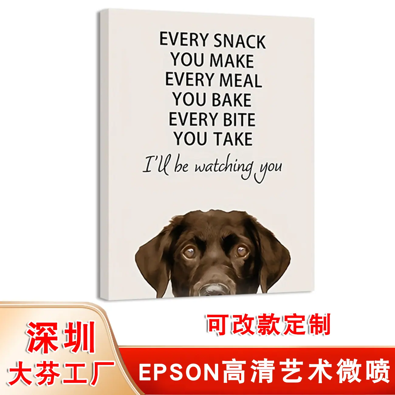 偷窥狗 (1).jpg