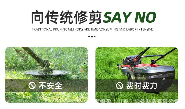 黑狮800详情页_02.jpg