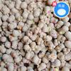 Muñeca Cabeza de Pasto Venta al Mayoreo Muñeca de Pasto Largo Muñeca Floreciente Plantas Verdes en Maceta Pequeña para Niños Plantas Hidropónicas Tienda de Dos Pesos Regalos