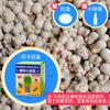 Muñeca Cabeza de Pasto Venta al Mayoreo Muñeca de Pasto Largo Muñeca Floreciente Plantas Verdes en Maceta Pequeña para Niños Plantas Hidropónicas Tienda de Dos Pesos Regalos