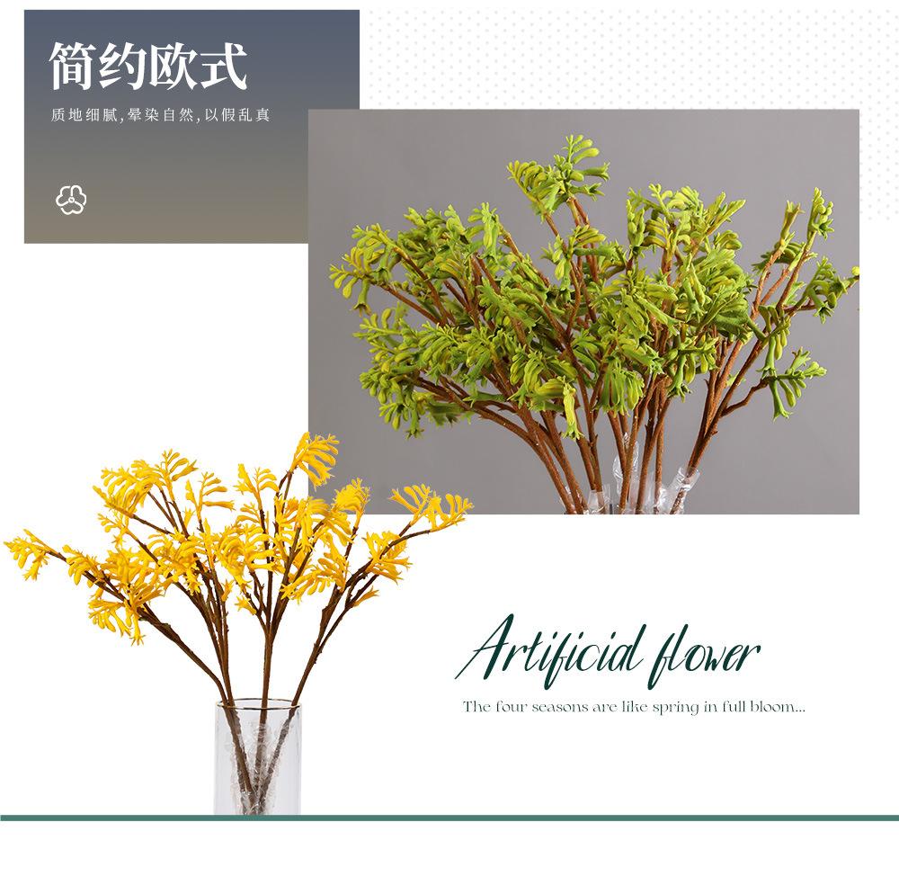 袋鼠爪-8.8_04.jpg