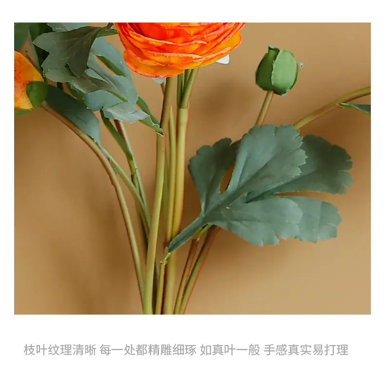 希德洋牡丹_16.jpg