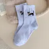 Meias de Algodão Estilo Coreano College para Primavera e Verão Tendência Ins Desenho Animado Fio Colorido Ponto Fofo Cachorrinho Meias de Cano Médio Meias Largas