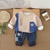 Traje de Otoño e Invierno para Bebé Niño 2025 Nueva Ropa para Niños Niño Guapo Casual Cuello Redondo Sudadera con Forro Polar Conjunto de Dos Piezas a la Moda