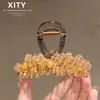 Novo Prendedor de Cabelo Médio Super Brilhante de Cristal Champagne de Garra Pesada para o Deslocamento Diário de Meninas Cabelo Fino na Parte de Trás da Cabeça