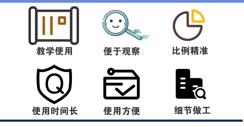 肾脏解剖模型_04.jpg