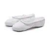 Zapatos de Baile Niños Adulto Zapatos de Doble Suela Zapatos Garra de Gato Zapatos de Ballet Venta al por Mayor Zapatos de Baile Mujer Suela Suave Cordones Gratis