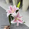 Película de Tacto Manual Shoko 2 Cabezales Rama Alta Diamante Lirio Nuevo Hogar Paisajismo de Ventanas Adornos de Flor de Seda Fotografía
