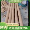 Material refractario de alta plasticidad fuerte y duradero tapón lodo de cañón simple fuerte lodo de cañón anhidro