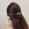 Accesorios para el cabello de piedra lunar para mujer, diseño de nicho de verano de alta gama, clip lateral, clip para flequillo, tarjetas para cabello suelto, celebrante de internet, clip para el cabello, tocado