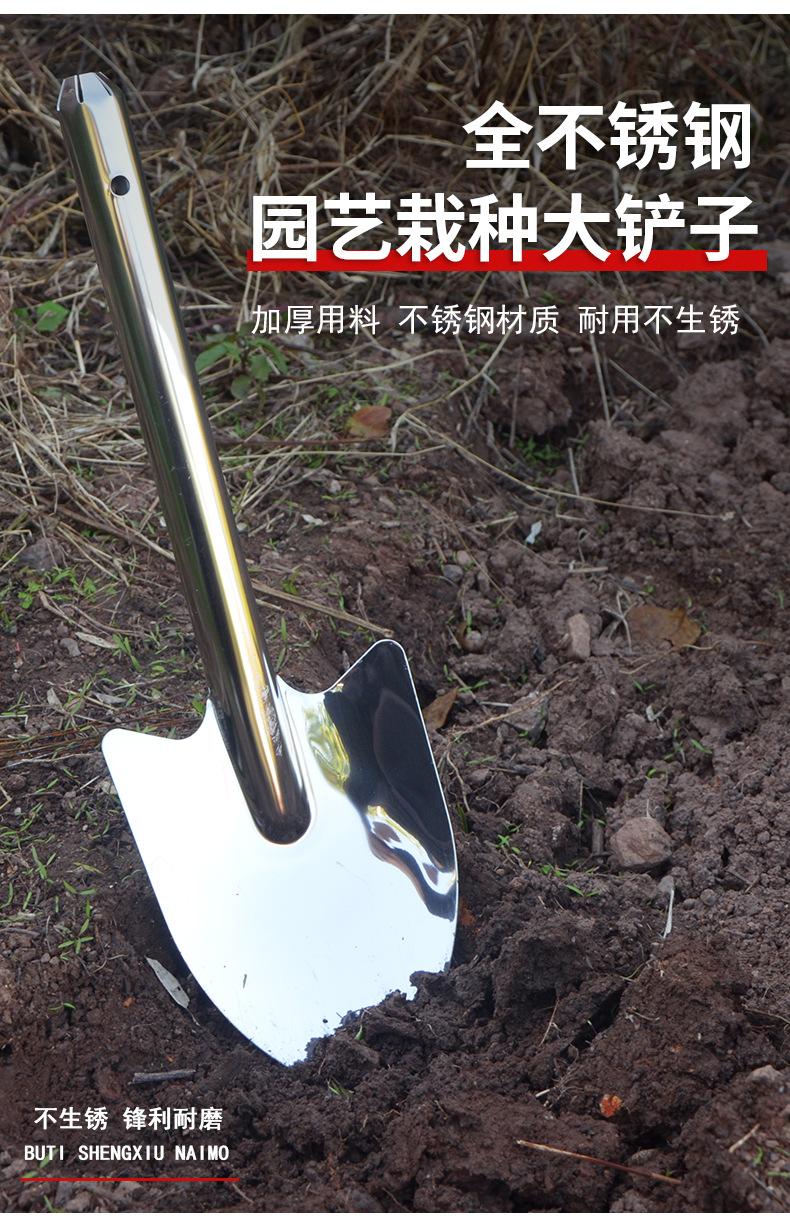 详情1