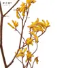 Flor Eterna Garra de Canguro Estilo Bosque Flores Secas Naturales y Ramas Ramo Real Lujo Decoración para el Hogar Venta al por Mayor desde Fabricante