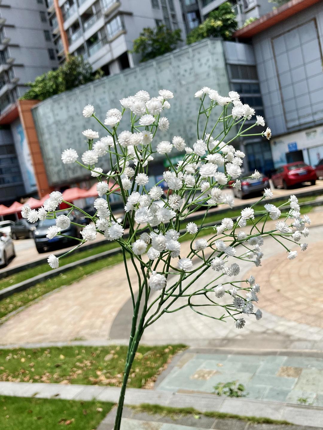 微信图片_20210804141545_副本.jpg