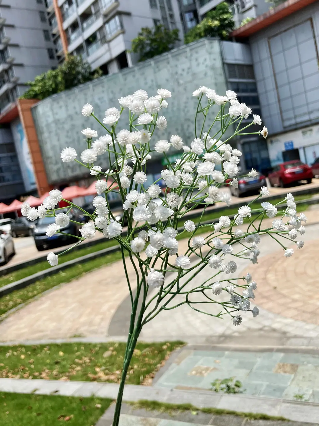 微信图片_20210804141545_副本.jpg