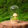 Pedra Bruta de Cristal Natural Pequeno Ornamento de Cogumelo Micro-Paisagem Espécime Mineral Educação Científica Infantil Presente de Feriado Decoração de Mesa