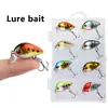 Mini Isca Peixe Gordo Estilo Rock 3cm/1.9G Plástico Isca Realista Isca Dura Equipamento de Pesca Atacado Isca Falsa