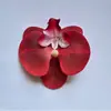 Cabeça de Flor Phalaenopsis para Simulação Filme de Impressão 3D Presente de Acompanhamento para Casamento Caixa de Doces Peça Única para Cabelo Grampo de Cabelo Flor Flor Falsa