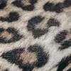 Estojo Suave Personalizado com Estampa de Leopardo para Óculos Estojo Clássico Portátil para Óculos de Sol Estojo para Óculos de Grau Bolsa de Óculos da Moda