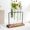 Marco de Hierro 4 Tubos de Ensayo Florero Transfronterizo Amazon Maceta Suministro Envío Directo Decoración de Vidrio Hidropónico Arreglo Floral