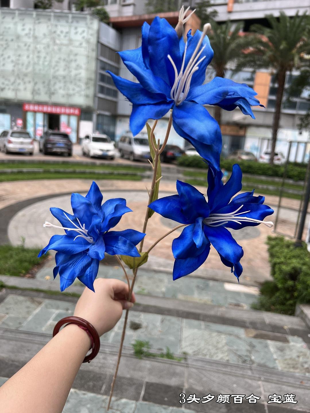 微信图片_20220515111649_副本.jpg