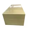 Tanque de Agua para Cría de Tablero de Plástico PP Transfronterizo, Tablero de Polipropileno PP Beige, Tanque Ácido y Alcalino, Tablero de PP Soldable Industrial Cortable