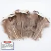 Atacado de fábrica acessórios de joias diy pena DIY cocar de pena corsage chapéu sapatos artesanato materiais de decoração