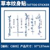Pegatina de tatuaje de hierbas con diseño de planta de jugo, nombre en inglés, para hombres y mujeres, impermeable, de larga duración, simulación