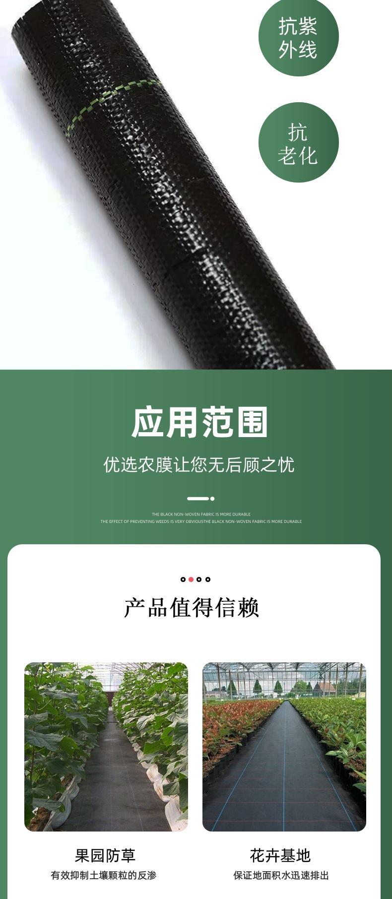 详情(3)_003.jpg