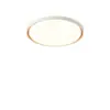 Luz de Techo LED Changhong Lighting Espectro Completo Protección Ocular Habitación Dormitorio Luz Niña Habitación Infantil Luz Niño Habitación de Estudio Luz