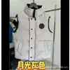 Nueva Versión Alta Chaleco Chaqueta de Plumas de Ganso Grande Etiqueta Negra de Canadá para Hombres y Mujeres con Cuello Alto, Chaleco Versátil Cálido y Moderno