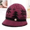 Chapéu de tricô feminino de inverno para mães de meia-idade e idosas, chapéu quente com forro de fleece, chapéu com aba espessa para clima frio