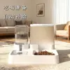 Comedero para Mascotas, Contenedor de Almacenamiento de Alimentos, Comedero, Bebedero, Juego Todo en Uno, Plato para Perros, Plato para Gatos, Dispensador de Agua para Gatos