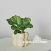 Flores de bonsai para exibição em mesa interna fácil de cuidar folhas coloridas plantas verdes plantas de bonsai estilo celebridade da internet INS