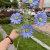 Viento de océano azul flores de simulación para boda al por mayor azul oscuro azul zafiro azul bruma blanco boda camino guía techo flores falsas