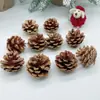 Pinhas Secas Naturais Materiais de Decoração para Árvore de Natal Fotografia de Bolos e Sobremesas Adereços para Fotografia de Buquês Florais Baoshi