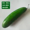 Pepino, pepino verde, modelo de vegetal abóbora, fruta, material didático, adereços para fotografia escolar, adereços de brinquedo, itens decorativos