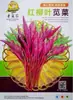 Semillas de Verduras Variadas para Otoño e Invierno, Semillas de Col China, Plántulas con Alta Tasa de Germinación, Nuevas Variedades de Colza Empresas Mayoristas