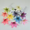 Flor de Lirio de Seda Artificial 3D 14cm Pasador de Lirio Tocado de Performance Disfraz DIY Flor de Mesa de Boda Pared de Fondo