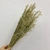 Flor seca de Yunnan flor eterna flor seca de aveia espiga de trigo buquê decoração de casa materiais florais macios materiais de combinação floral
